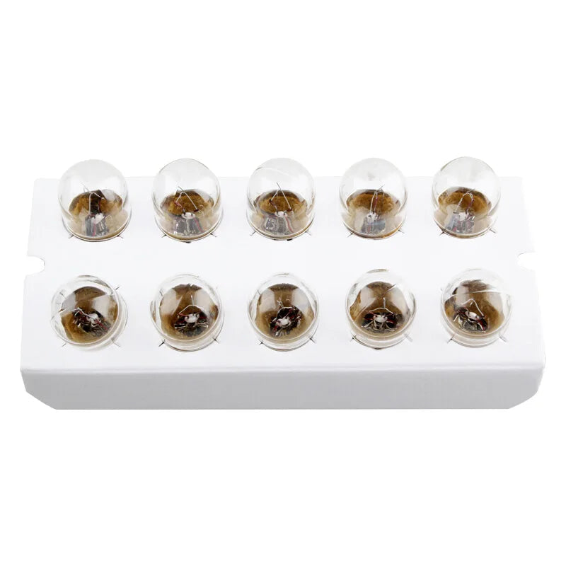 Philips light bulb holder with multiple bulbs on a white background