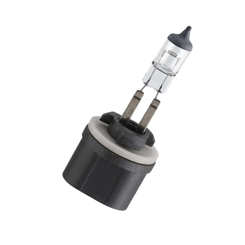 Philips car bulb on a white background