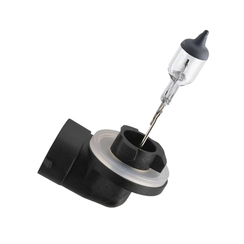 Philips car bulb on a white background